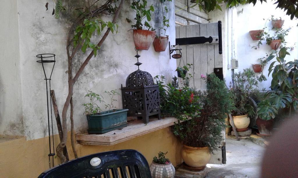 Patio Das Flores Ferreira Do Alentejo Exterior photo
